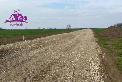 Teren industrial pentru hale - 3