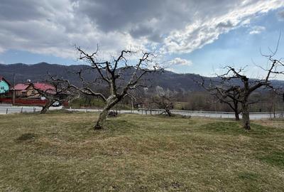 Spațiu comercial, în Malu cu Flori - 1