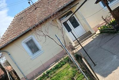 Casă cu Teren 462 Mp în Cetate - 5
