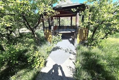 Casa / Vila de vanzare in Serbanesti - 23