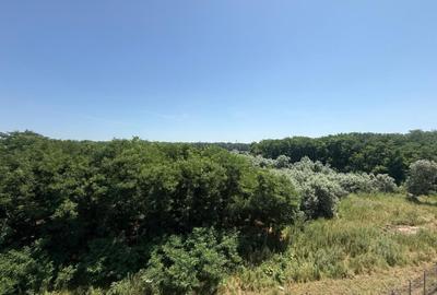 Baneasa, Greenfield Residence, Vedere Panoramica către Pădure/ Comision-0% - 12