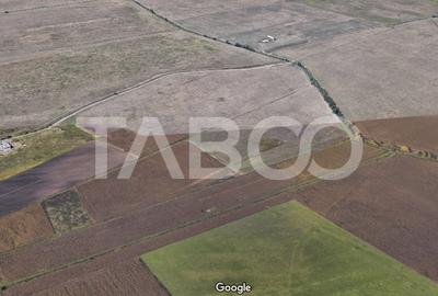 Teren extravilan 4900 mp de vanzare zona Calea Surii Mici Sibiu - 2