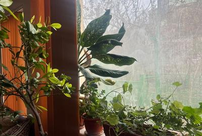 Casă individuală cu 4 camere cu Canalizare în Tomis II - 9