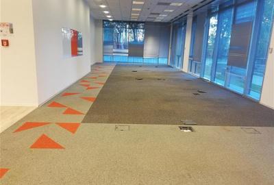 Birou, de 721 mp, în P-ta Presei Libere - 12