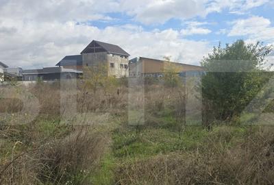 Teren Construcții intravilan de 2000 mp, în Sud-Est - 4