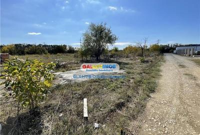 Gulia Tartasesti Str Samurcasi 482 mp deschidere 25 ml - 8