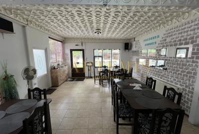 Spatiu comercial- alimentatie publica, 84mp si terasa, zona Independentei - 2