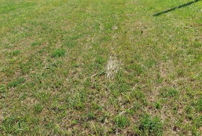 Teren de 2112 mp, în Filpea - 2