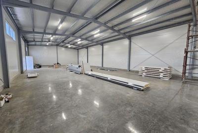 Hale noi depozitare Lugoj diferite dimensiuni 200 mp 516 mp utili!! - 4