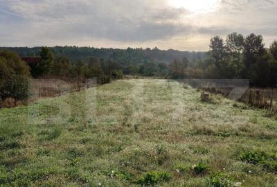 Casa de vacan?a, Brestova? Casa de vacan?a, Brestova? - 18