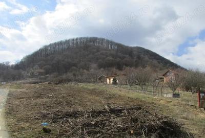 Teren în Central - 7
