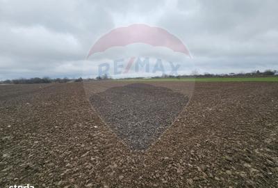 Spațiu comercial, în Adunații-Copăceni - 3