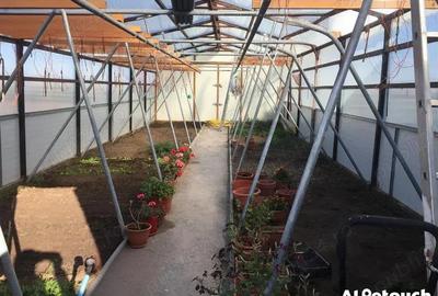 Casa de vacanta P+M,anexa de exploatatatie agricola - 7