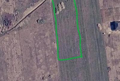 Teren de 2250 mp, în Sânmartin - 1