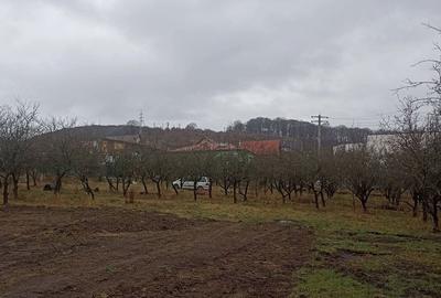 Spațiu comercial, în Central - 6