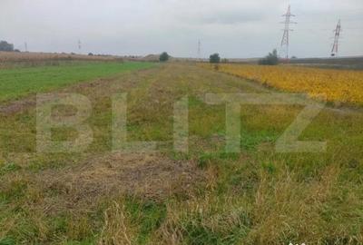 Teren de 2600 mp, în Rădăuți - 3