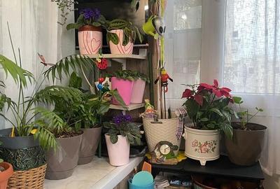 Garsonieră decomandată în Theodor Pallady - 2