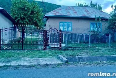 Vand Casa la Munte in Slava Rusa, 2000 m2 - 4