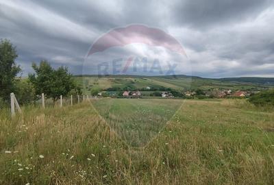 TEREN INTRAVILAN 2900 mp ȘIMLEU SILVANIEI/ Str. Corneliu Coposu/Sălaj - 6