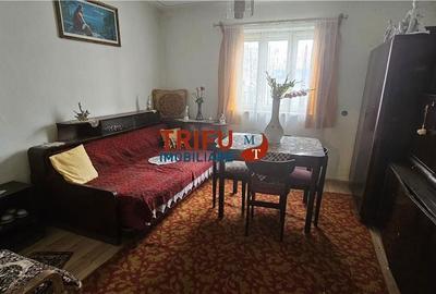 Casă cu 4 camere în Benic - 10
