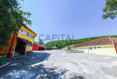 Teren intravilan, 10.000 mp, Imprejmuit+ drum privat+cladire de birouri, Dej - 4