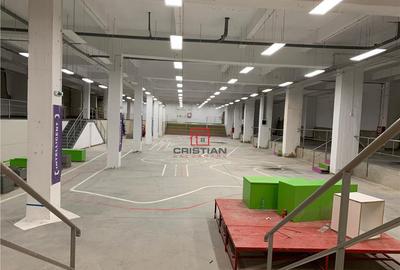 Depozit/hala/spatiu industrial Politehnica - Apaca - 12