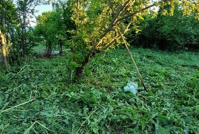 Casă cu 3 camere cu Teren 1550 Mp în Berceni - 3