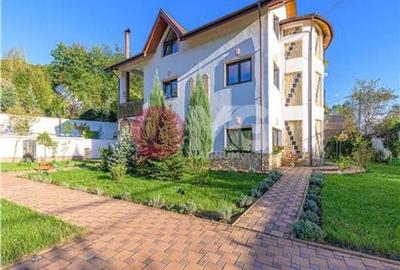 Domeniu de vanzare, Baile Govora teren 20875mp - 4