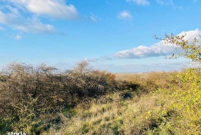 Spațiu comercial, în Rasova - 7