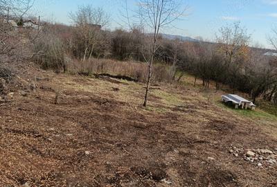 Vand sau schimb cu apartament, Casa P+E+M ?i 3300 teren intravilan in Baicoi jude?ul Prahova - 8
