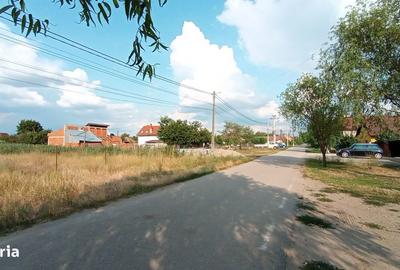 Teren de 500 mp, în Zimandu Nou - 8