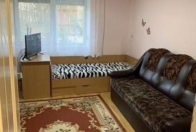 Casă cu 2 camere în Diosig - 4