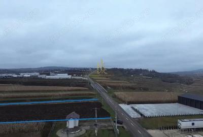 Teren de 14066 mp, în Mihoveni - 5