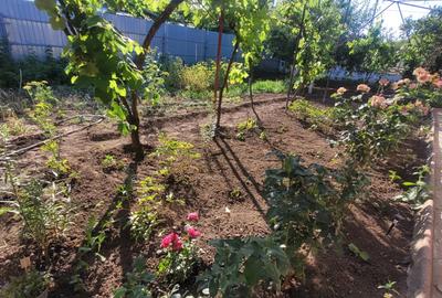 Loc. Cumpana - Casa  cu teren 600 mp -deschidere 19 mp - garaj - 119.500 Euro - 40