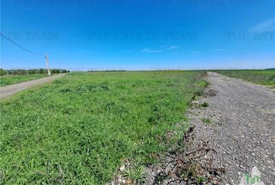 Loturi teren de vanzare Branesti/Vadu Anei - 2