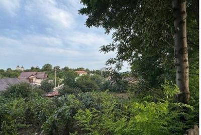 Casa si teren cota parte 1/4 , Negresti, ID: R2765740 - 31