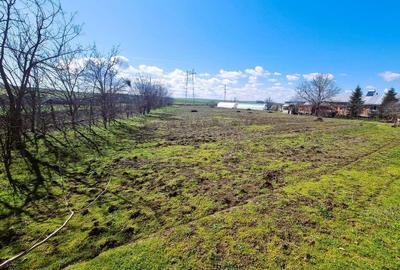 Spațiu comercial, în Poiana - 5