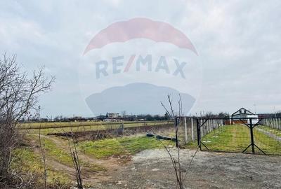 Teren 1,434mp Selimbar Teren 1,434mp Selimbar - 4