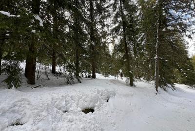 Teren intravilan cu panorama - statiunea Muntele Baisorii - 3