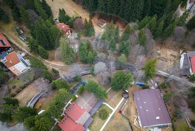 Teren Construcții intravilan de 2000 mp, în Poiana Brașov - 11