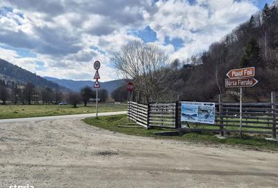 Spațiu comercial, în Plaiul Foii - 12