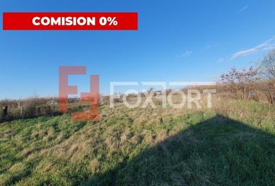 Casă individuală cu 4 camere în Pădureni (Jebel) - 6