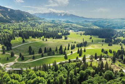 Apartament Premium | Grand Chalet | Poiana Brasov - 3