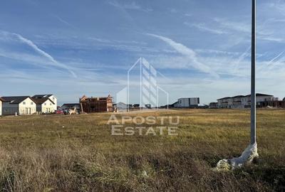 Parcela de 600 mp, in Mosnita Noua - 2