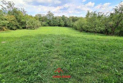 Teren intravilan in Poiana Campina--3287mp--10e - 8