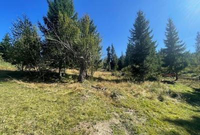 Teren Intravilan | Dealul Negru | Investiție | 1500 mp - 1