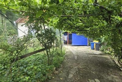 Casă cu 2 camere cu Teren 1334 Mp în Sighișoara - 7