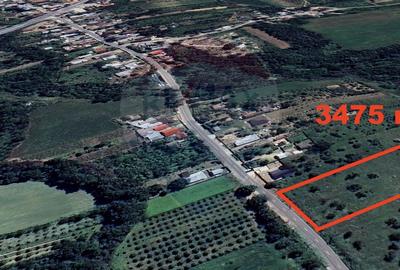 Teren Construcții intravilan de 3475 mp, în Dumbrăveni - 2