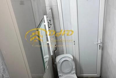 APARTAMENT CU 1 CAMERA CUZA VODA - 3