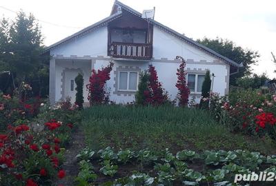 Casă în Tâncăbești - 3